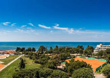 Adriatic ウマグ